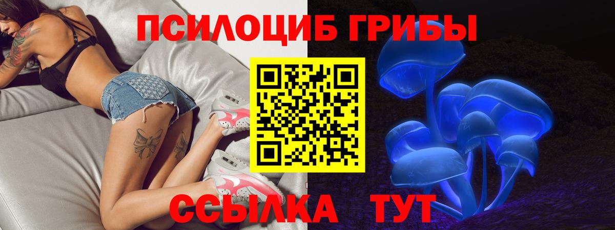 Галлюциногенные грибы мицелий Калач-на-Дону